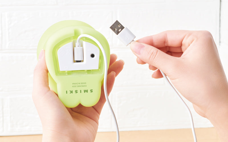 SMISKI Touch Light