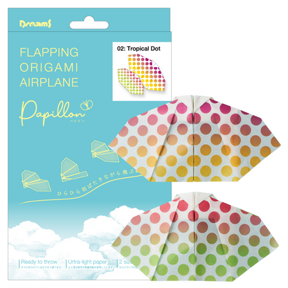 Papillon Origami Airplanes
